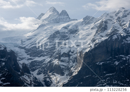 Wetterhorn and Mattenberg in spring Wetterhorn and Mattenberg in spring 113228256