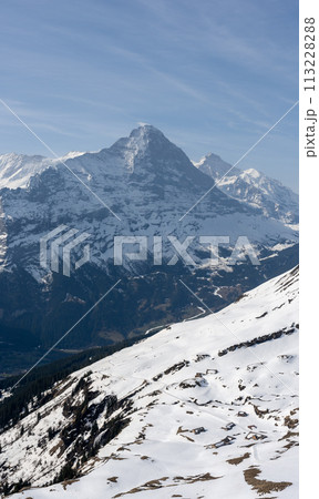 Wetterhorn and Mattenberg in spring 113228288