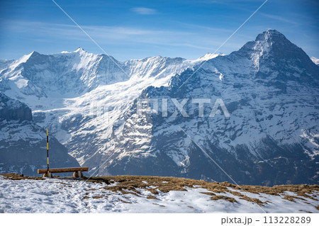 A banch in the First A banch in the First 113228289