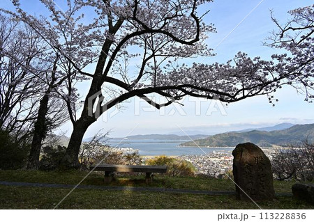 桜咲く春の天橋立 113228836