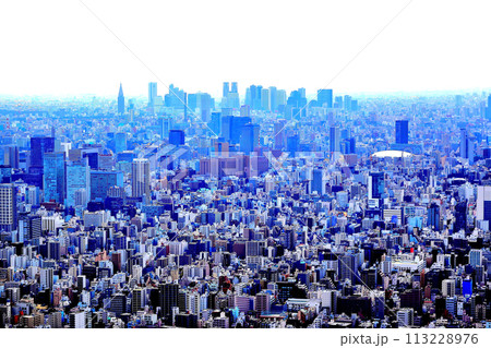 東京スカイツリーからの眺望 東京スカイツリーからの眺望 113228976
