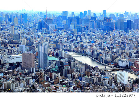 東京スカイツリーからの眺望 東京スカイツリーからの眺望 113228977