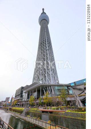 東京スカイツリー 東京スカイツリー 113228984