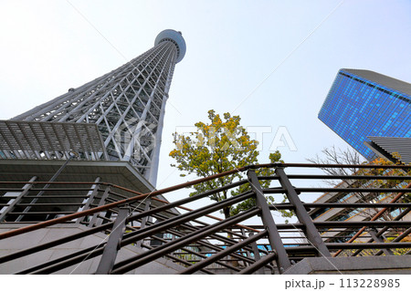 東京スカイツリー 東京スカイツリー 113228985