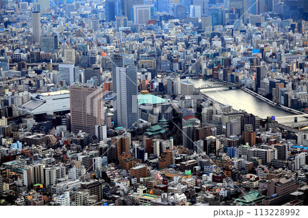 東京スカイツリーからの眺望 東京スカイツリーからの眺望 113228992