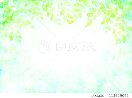 新緑イメージ背景 113229042