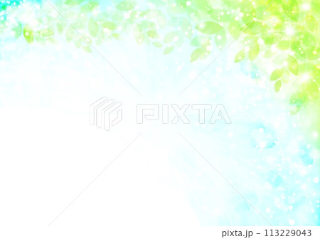 新緑イメージ背景 113229043