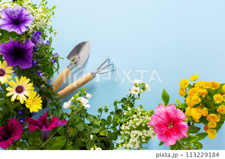 Spring decoration of a home balcony Spring decoration of a home balcony 113229184