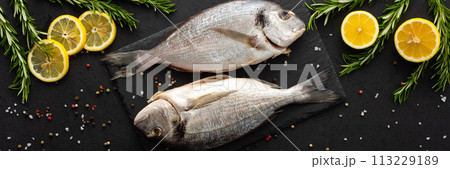 Dorada fish on a black background 113229189