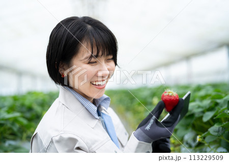 スマート農業を行う女性 スマート農業を行う女性 113229509