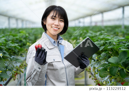 スマート農業を行う女性 113229512