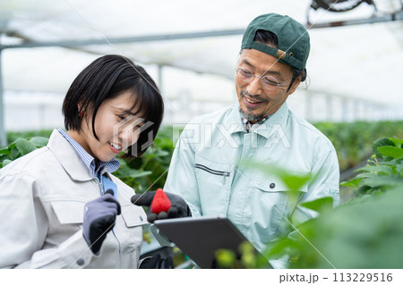スマート農業 スマート農業 113229516