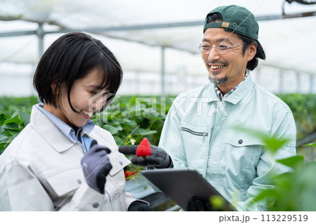 スマート農業 113229519