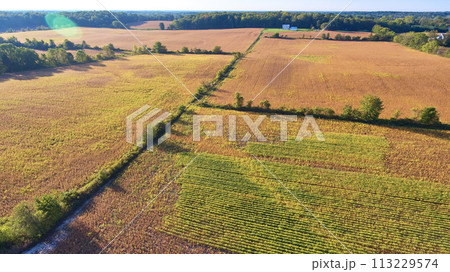 Aerial Golden Hour Over Patchwork Farmland and Dirt Road Aerial Golden Hour Over Patchwork Farmland and Dirt Road 113229574