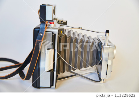 Vintage Bellows Camera with Leather Strap on Cream Background Vintage Bellows Camera with Leather Strap on Cream Background 113229622