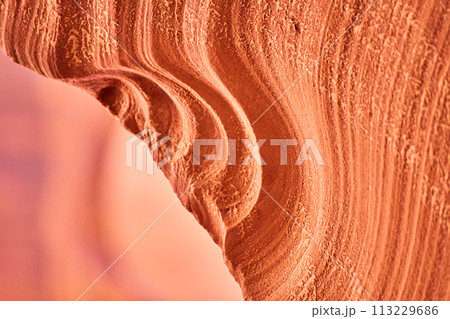Sandstone Erosion Patterns in Warm Light, Antelope Canyon Close-Up 113229686