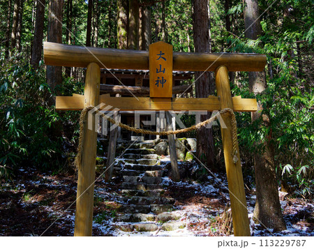 中津川市加子母乙女渓谷の神社 113229787