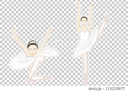 Two ballerinas dancing ballet, Swan Lake 113229977