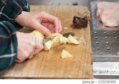 キッチンで玉ねぎを切るシニア女性 キッチンで玉ねぎを切るシニア女性 113230305