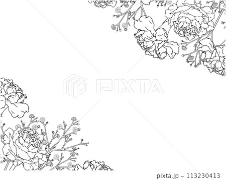カーネーションとかすみ草の線画フレーム③ななめ 113230413