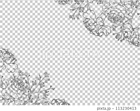 Carnation and Gypsophila Line Frame ③ Diagonal Carnation and Gypsophila Line Frame ③ Diagonal 113230413