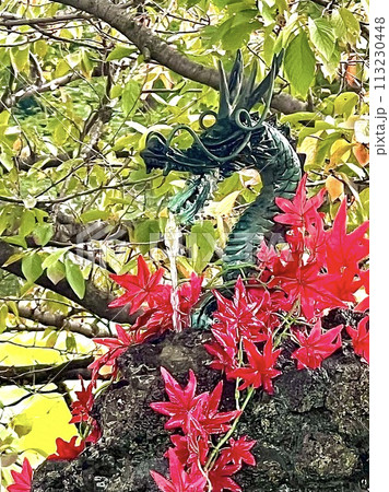 神社の手洗い場 お清め 神社の手洗い場 お清め 113230448