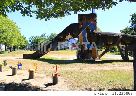 塩沢中央公園 塩沢中央公園 113230865