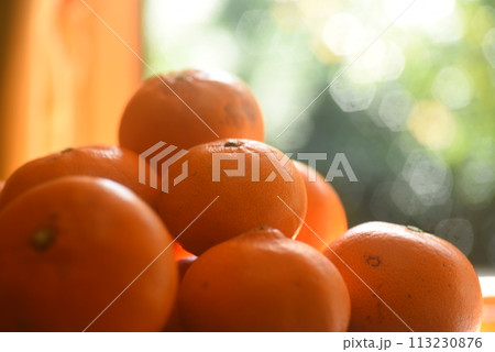 庭の木製のテーブルの上に置かれたミカン 113230876