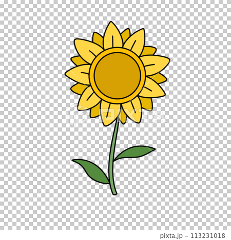 A yellow flower with green leaves 113231018