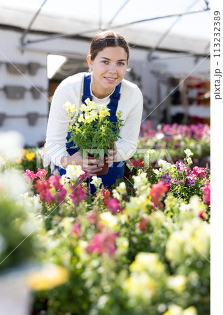 Young female seller holding snapdragons in pot 113232389