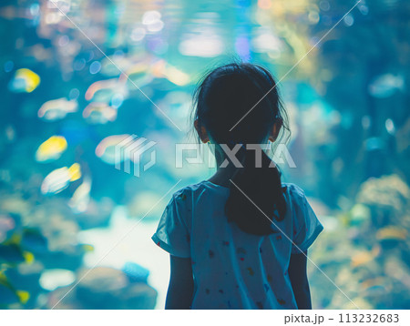 水族館で魚に夢中なアジア人の子供 113232683