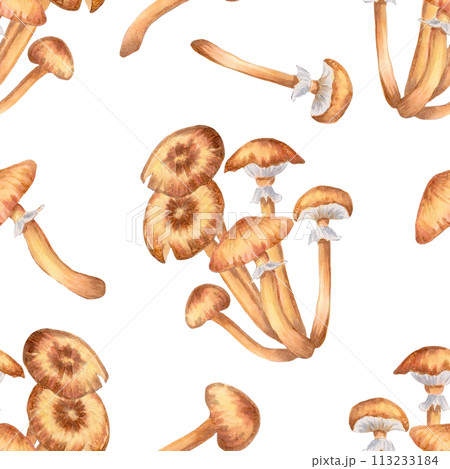 Seamless pattern of honey mushrooms. Illustration with watercolors and markers. Hand-drawn botanical background. Autumn harvest natural, culinary ingredient for wallpaper, recipe, textile, wrapper 113233184