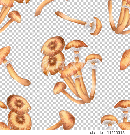 Seamless pattern of honey mushrooms. Illustration with watercolors and markers. Hand-drawn botanical background. Autumn harvest natural, culinary ingredient for wallpaper, recipe, textile, wrapper 113233184