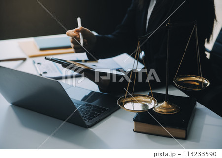 Businessman and Male lawyer or judge consult having team meeting with client, Law and Legal services concept. 113233590