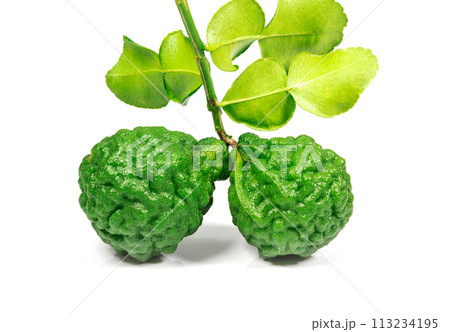 Fresh bergamot or kaffir lime fruit isolated on white background. Fresh bergamot or kaffir lime fruit isolated on white background. 113234195