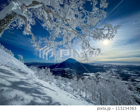 ニセコスキー場から見た雪景色の羊蹄山　青空に映える霧氷 113234363