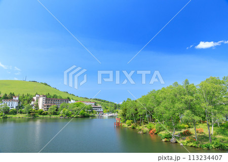 長野_初夏の白樺湖と青空の風景 113234407