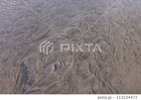 北海道オホーツク砂浜海岸 113234472