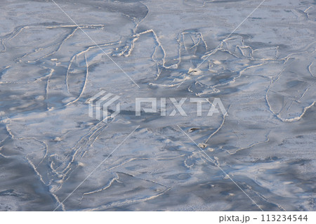 北海道北海氷情 北海道北海氷情 113234544