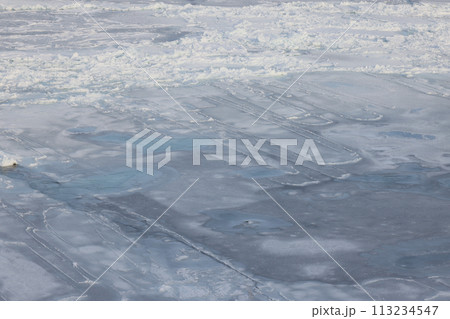 北海道オホーツク海凍る 北海道オホーツク海凍る 113234547
