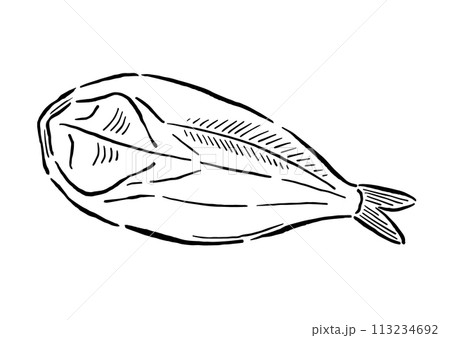 ほっけの干物 筆の線画イラスト ほっけの干物 筆の線画イラスト 113234692