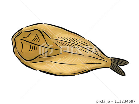 ほっけの干物 水彩風の筆の線画イラスト ほっけの干物 水彩風の筆の線画イラスト 113234697