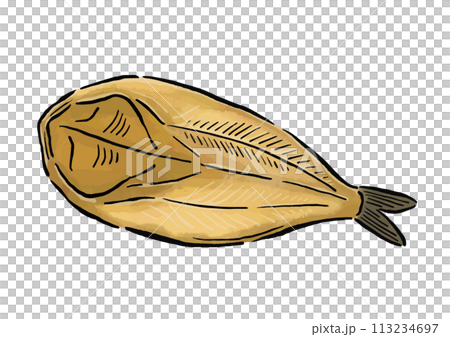 ほっけの干物 水彩風の筆の線画イラスト ほっけの干物 水彩風の筆の線画イラスト 113234697