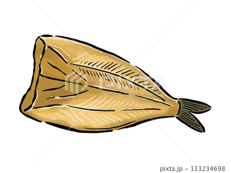 ほっけの干物　水彩風の筆の線画イラスト 113234698