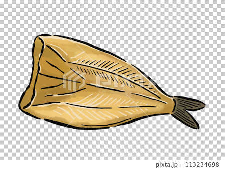 ほっけの干物　水彩風の筆の線画イラスト 113234698