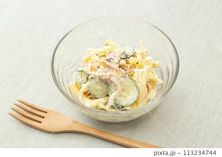 ランチョンマットに置かれた木製スプーンとマカロニサラダ 113234744