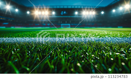 夜のサッカースタジアムの芝生グラウンド 113234783