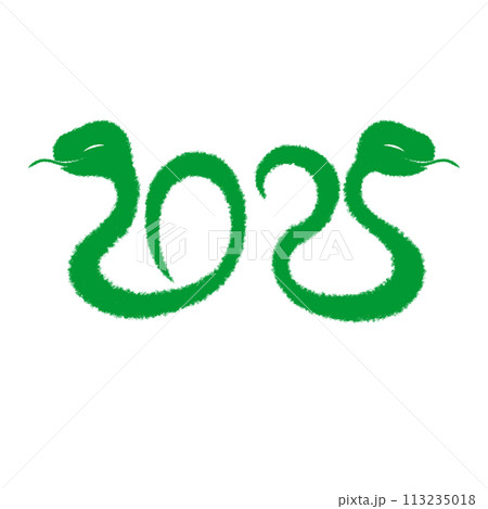 2025年巳年イラスト素材 2025年巳年イラスト素材 113235018