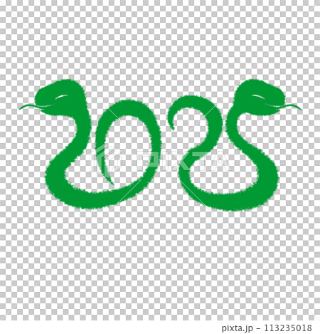 2025年巳年イラスト素材 2025年巳年イラスト素材 113235018