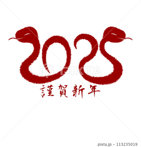 2025年巳年イラスト素材 113235019